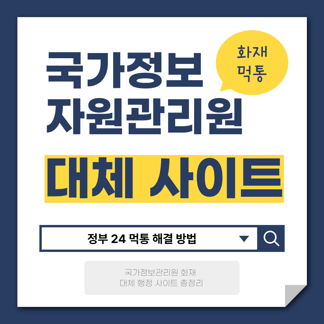 국가정보자원관리원 대체