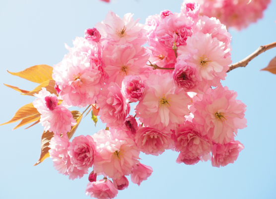 화담숲 사전예약 깔끔 한방정리!