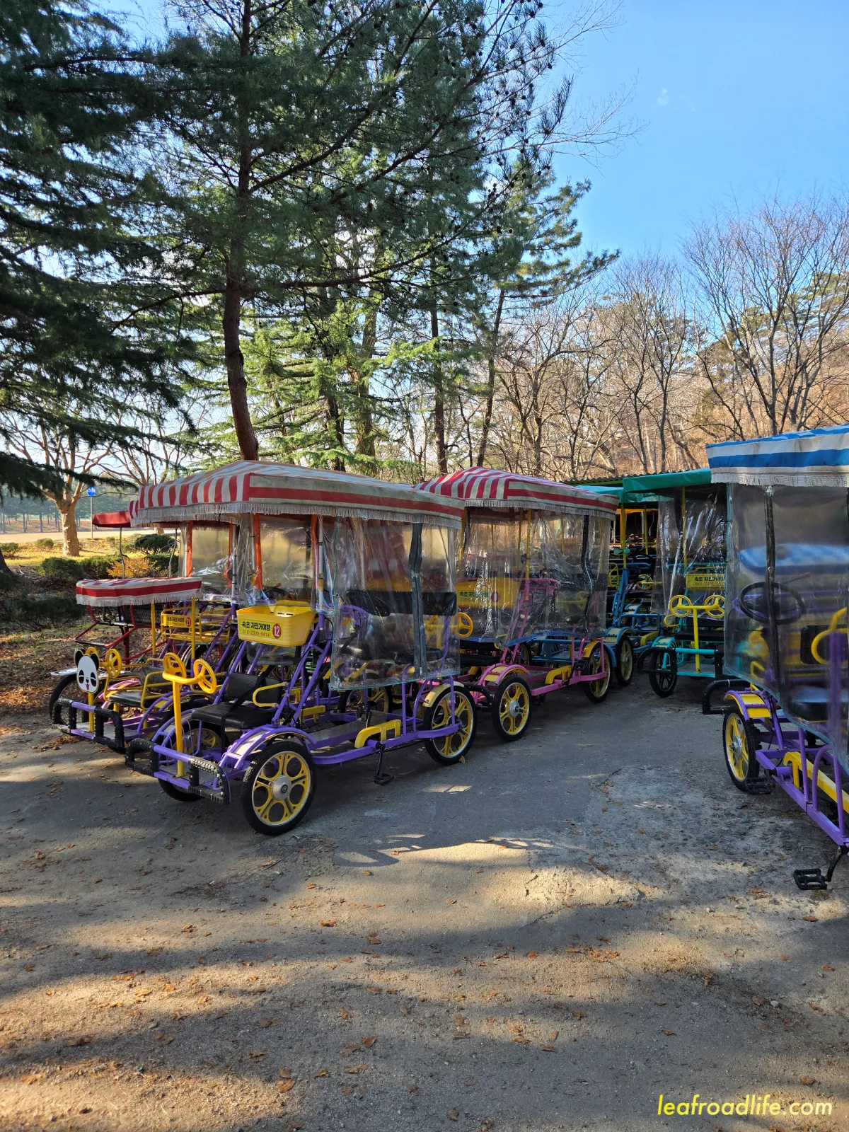 속초-영랑호-가족자전거