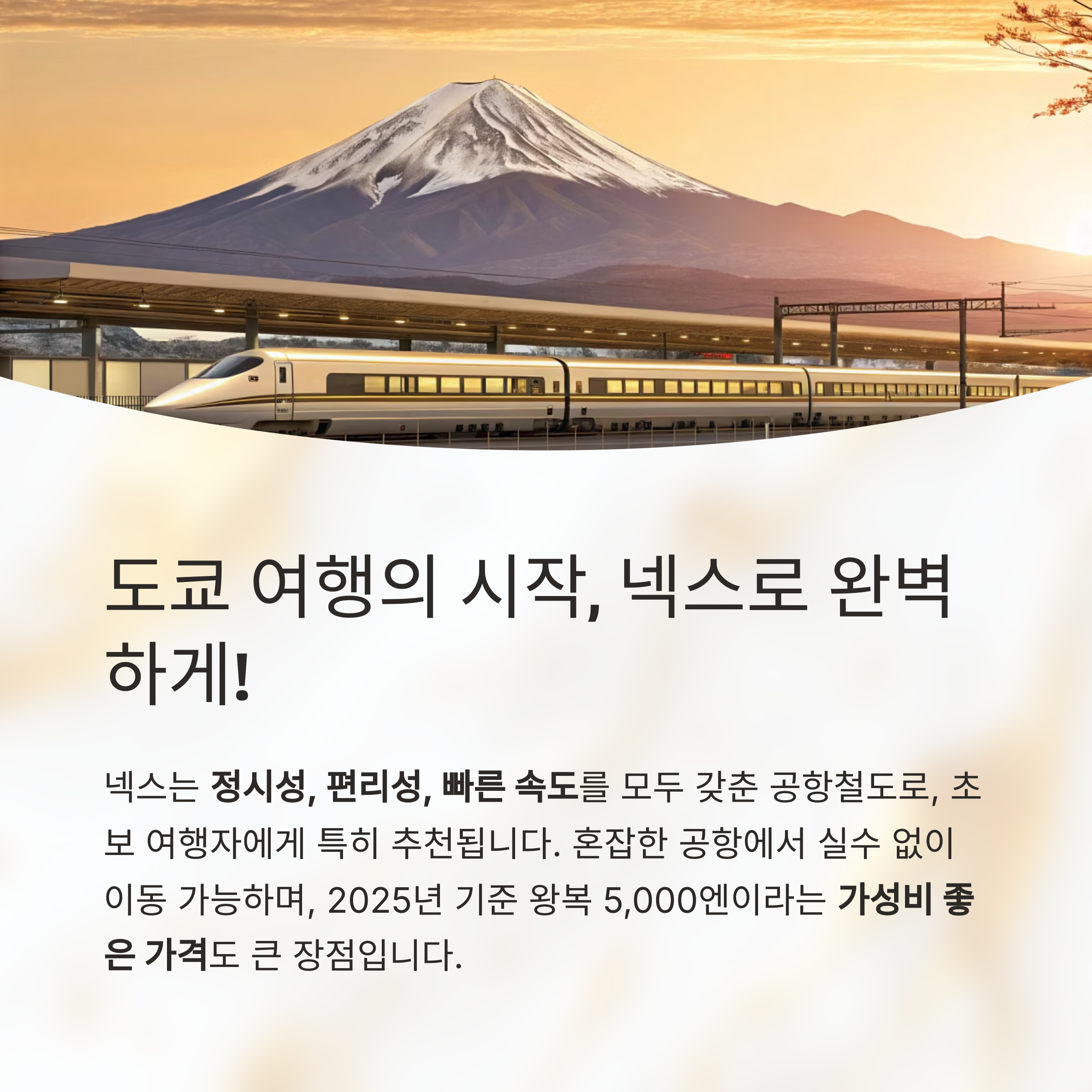 도쿄 여행의 시작, 넥스로 완벽하게!