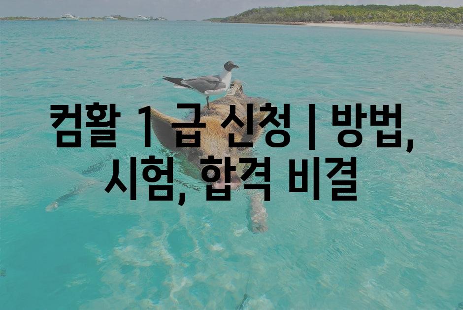 샘플 (1)