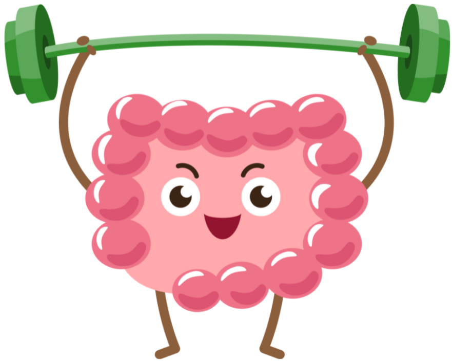 장건강과 면역력 높이기 – 제대로 알고 실천하는 장내 환경 관리법