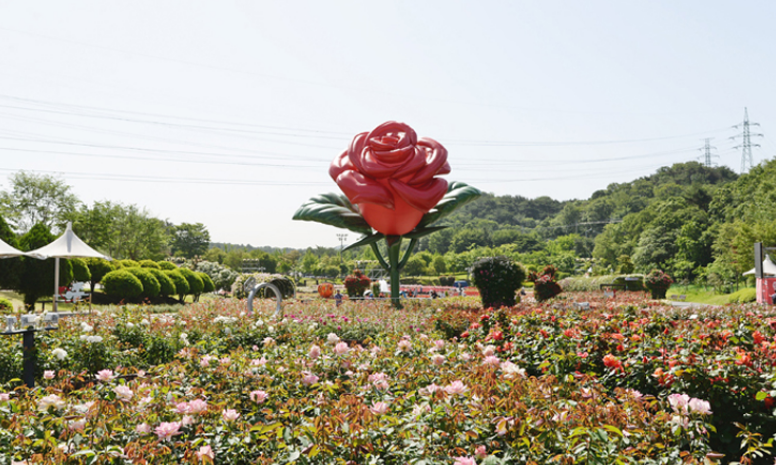 2024 울산대공원 장미축제 행사안내
