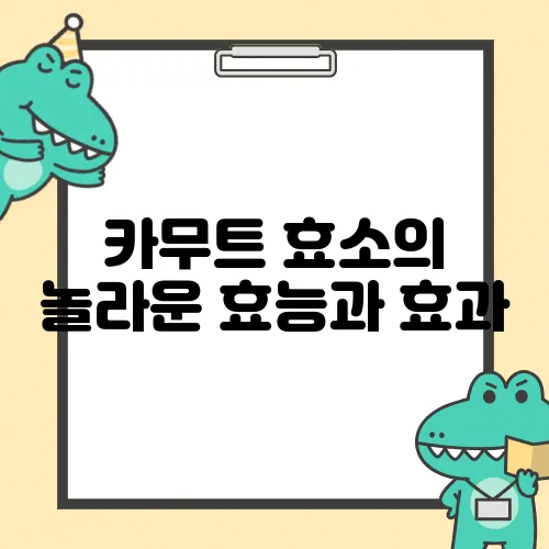 카무트 효소의 놀라운 효능과 효과