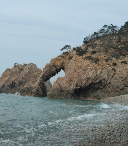 생생정보 믿고 떠나는 스타의 고장 충청남도 서산시 유기방가옥 황금산 코끼리바위 바다식당 꽃빛 
