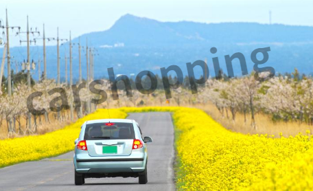 운전면허증 분실신고하는곳