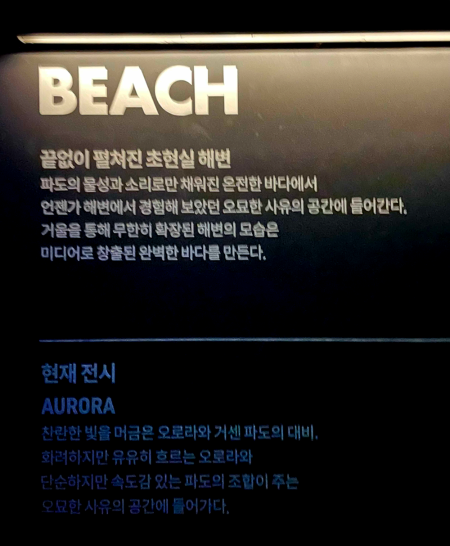 아르떼 뮤지엄 제주