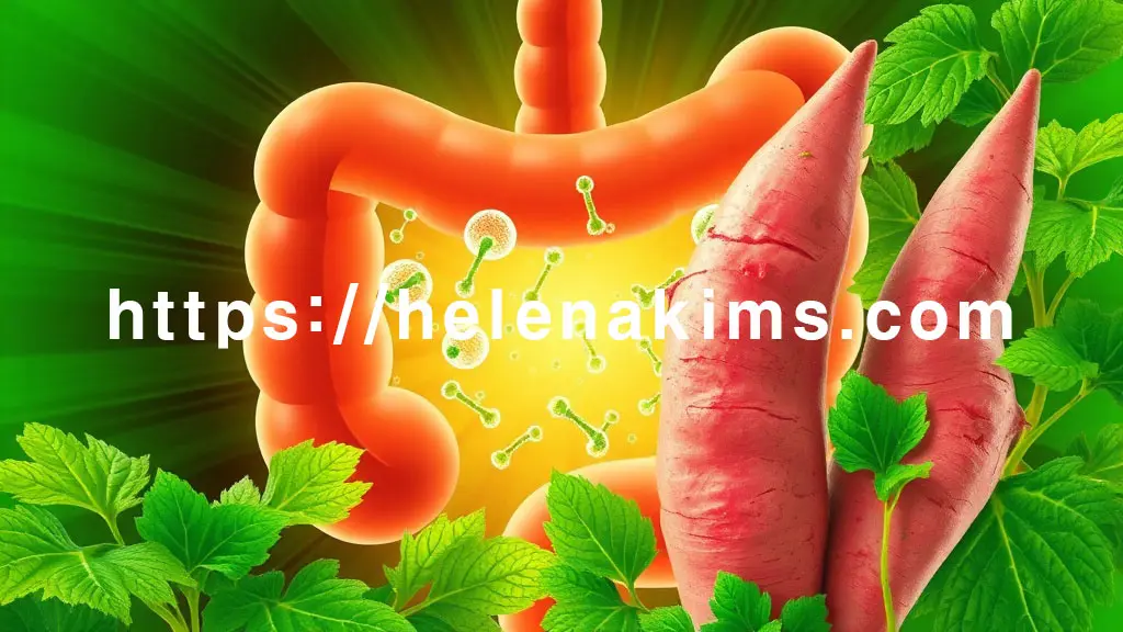 싱싱한 고구마순이 전면에 놓여 있고, 그 뒤로 활기찬 건강한 장의 모습, 고구마순에서 뿜어져 나오는 풍부한 식이섬유를 상징하는 부드러운 섬유질 입자들이 장 내부를 깨끗하게 청소하고, 유익균들이 활발하게 움직이는 모습.