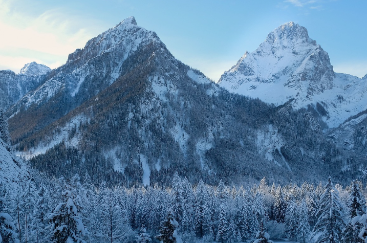 지원금 신청 시 주의사항