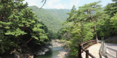 산청 대원사계곡