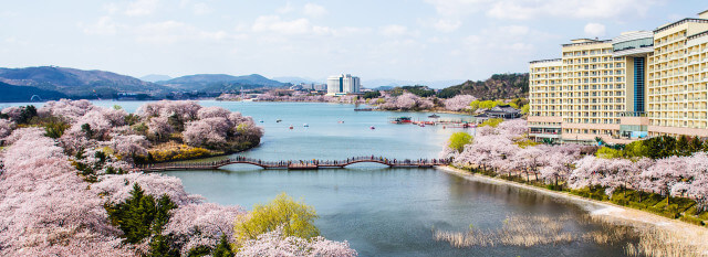 생방송투데이 3785회 우리 동네 홍(보)반장이 간다 APEC 성공 개최를 위해 홍반장이 간다&amp;#44; APEC 공식 숙소 소노캄 경주&amp;#44; APEC 2025 지정 음식점 고도벌한정식&amp;#44; APEC 회의 장소 경주화백컨벤션센터 (HICO) 