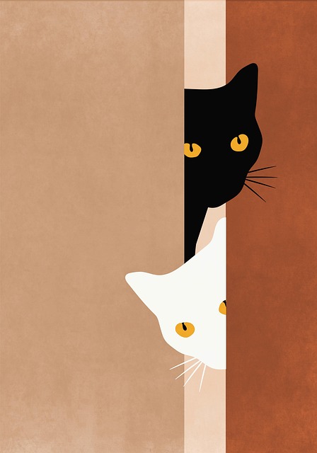 40대 여자선물 추천