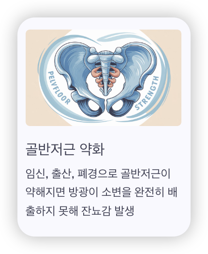 여성-잔뇨감-원인-골반저근-약화