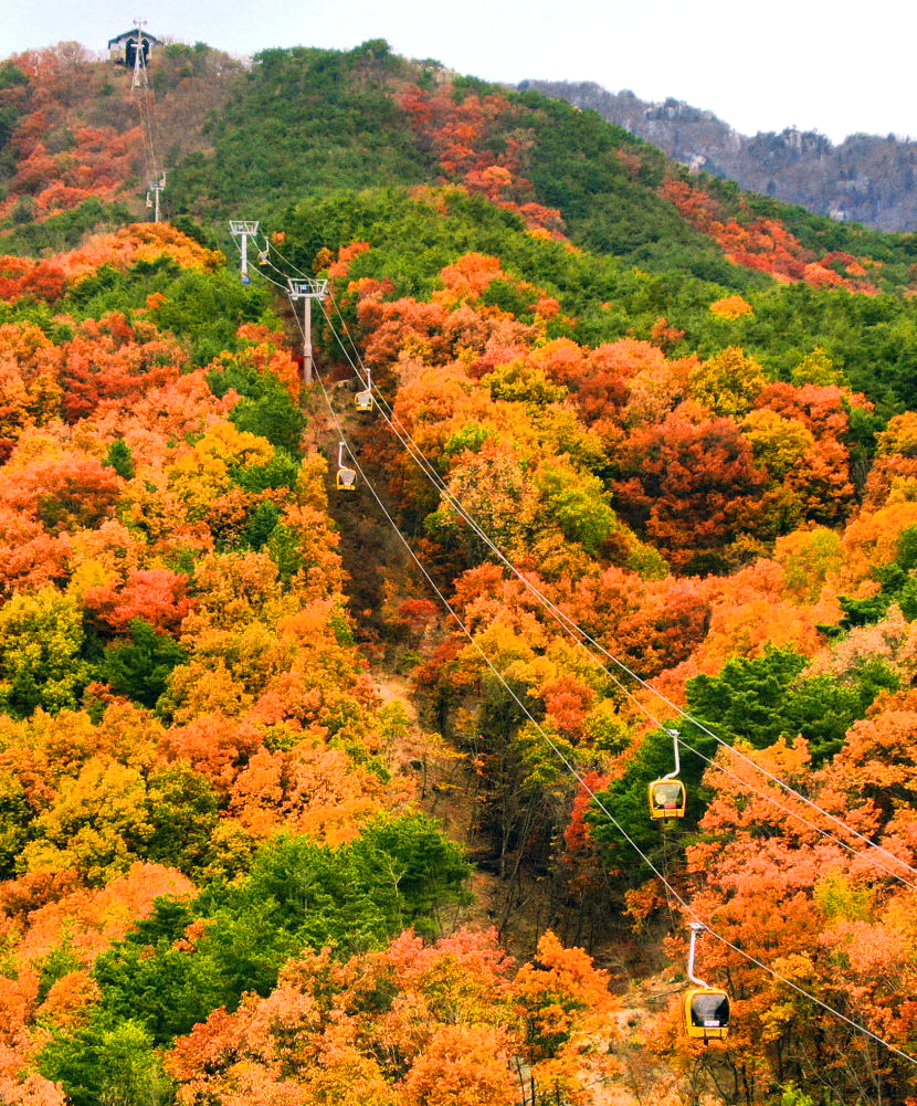 팔공산케이블카