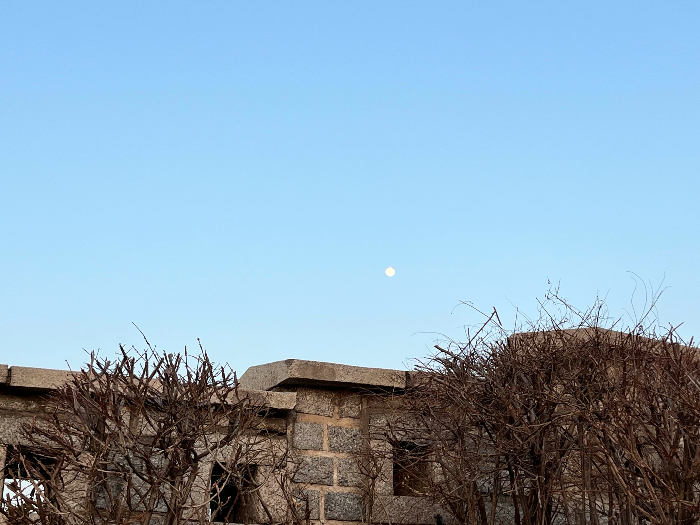 성벽에서 바라본 달 - 과거 낙산공원의 성벽은 동대문(흥인지문) - 혜화문을 이어주는 성벽이었다고 합니다.