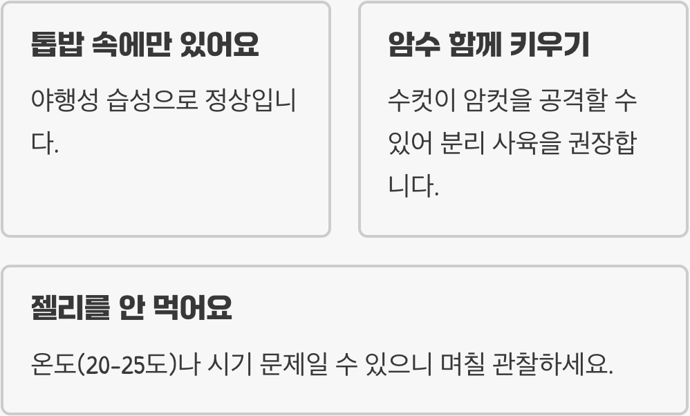 왕사슴벌레 수명&amp;#44; 얼마나 오래 살 수 있을까? (5년 장수 비법)
