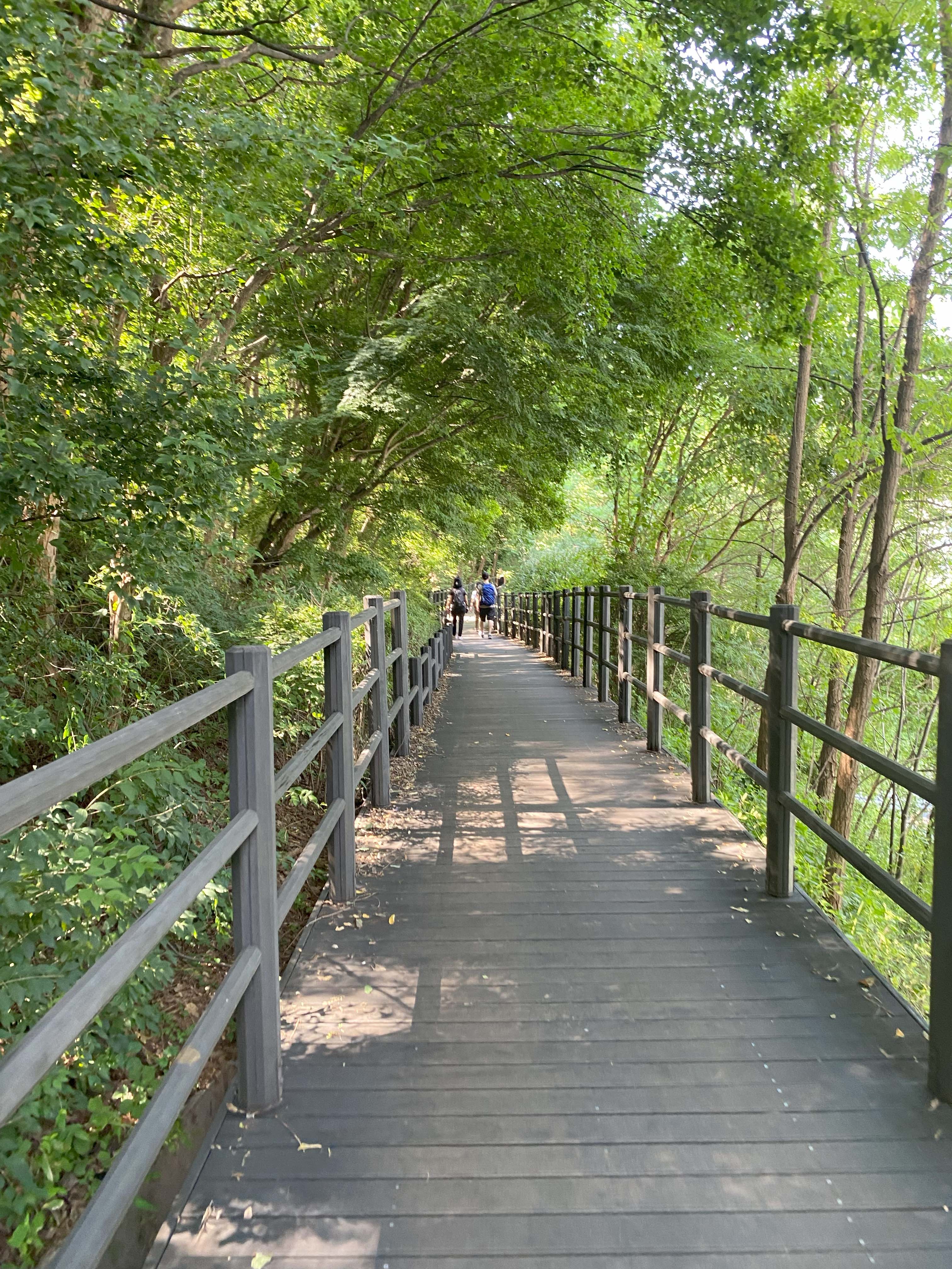 Alt 속성 문제 해결 설명 이미지