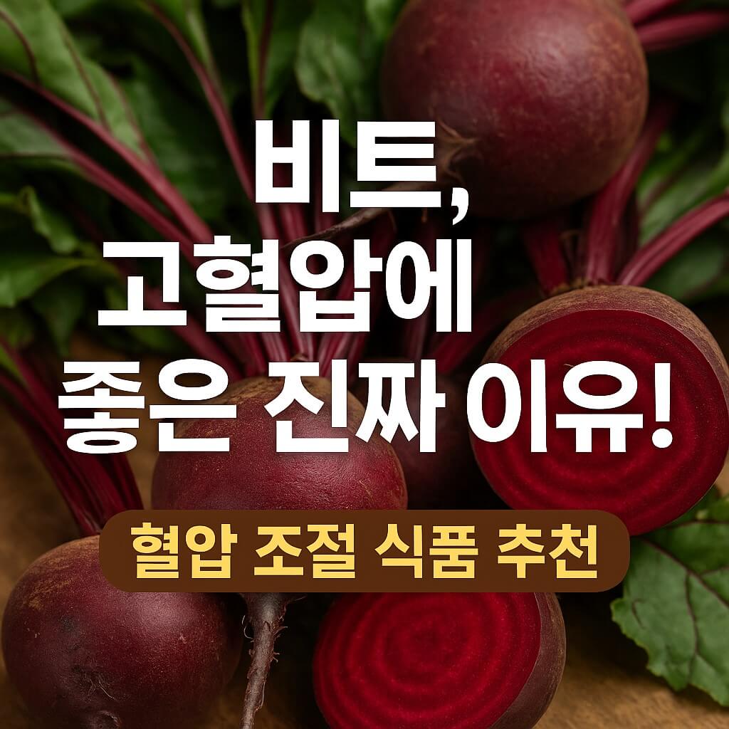 비트, 고혈압에 좋은 진짜 이유! 혈압 조절과 건강 효과 썸네일 이미지