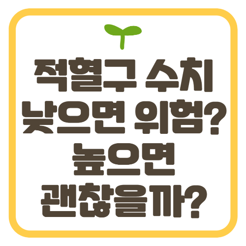 적혈구 수치 낮으면 높으면