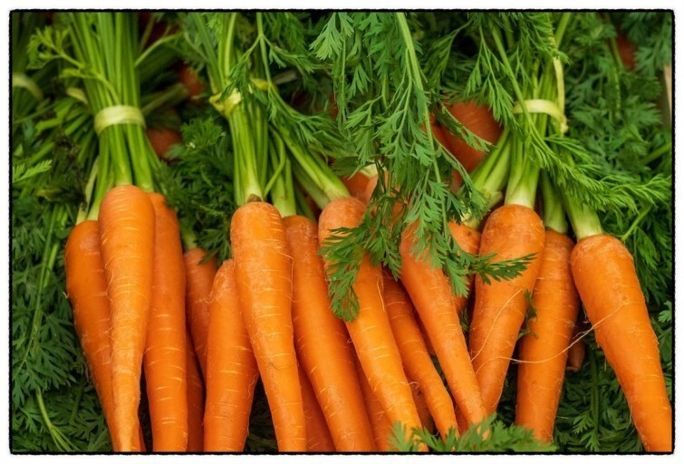 눈 건강에 좋은 당근