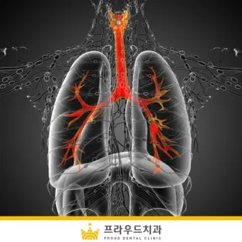 약용식물 동충하초 자연의 신비 건강 효능과 활용_20