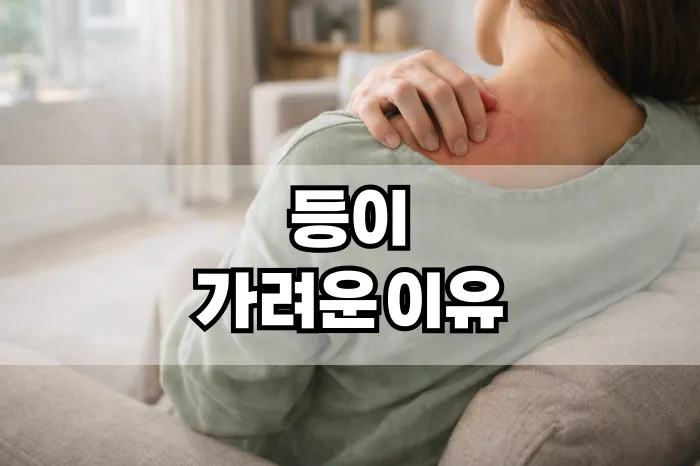 등이 가려운 이유