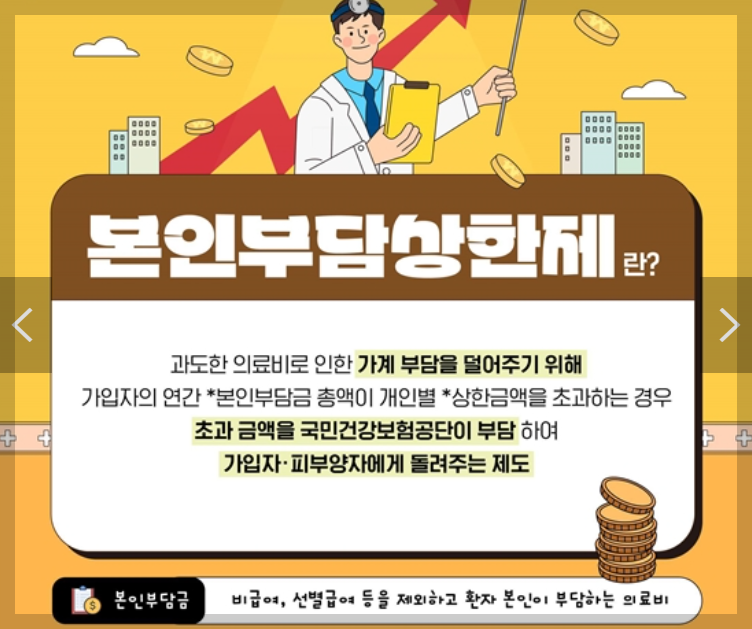 본인부담상한액 초과금 조회