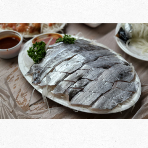 제주도 갈치 회