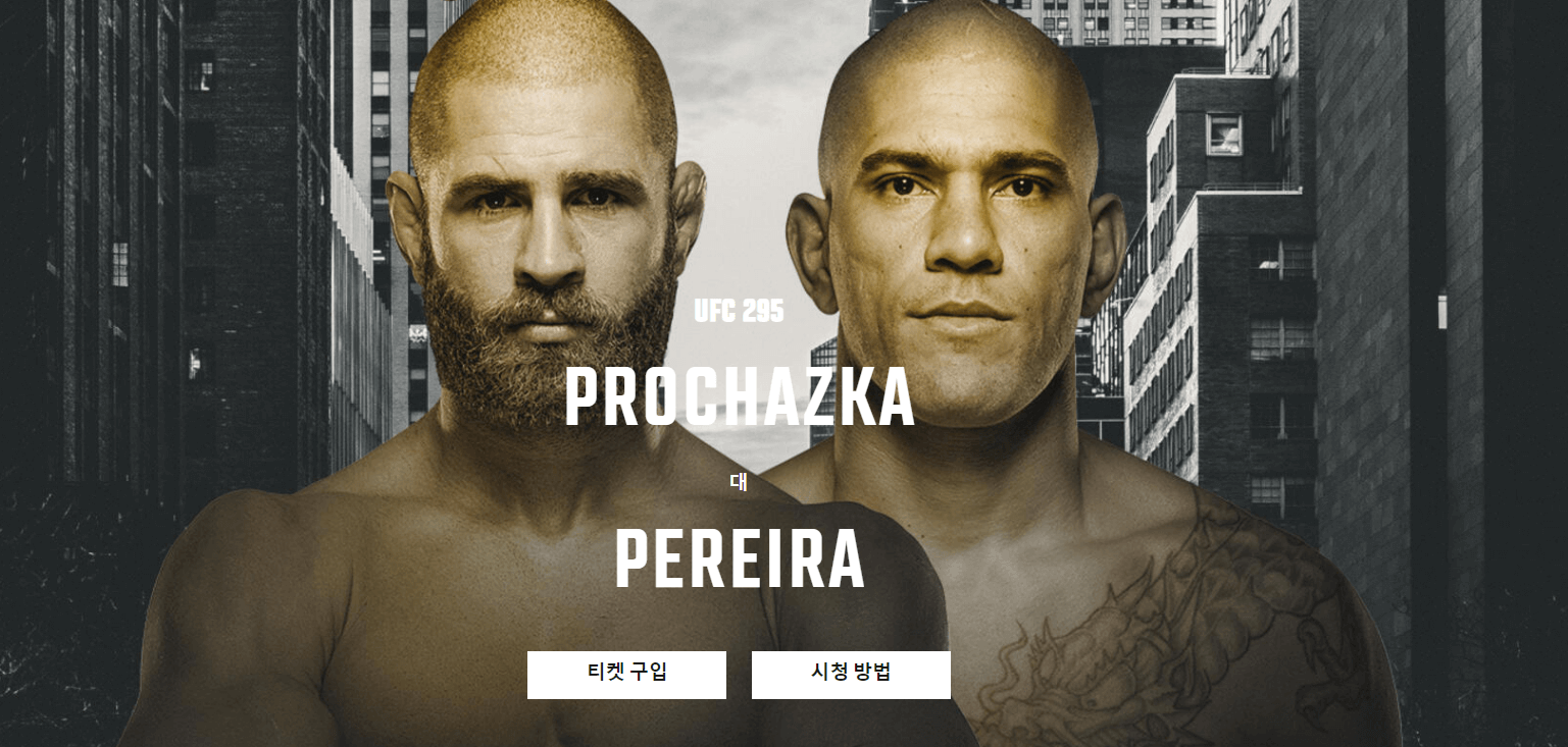 UFC 295 페레이라 프로하츠카