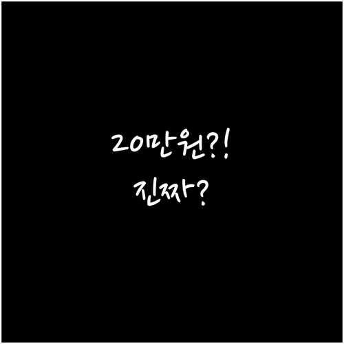 태안군 청년월세 지원 금액 월 최대 ..