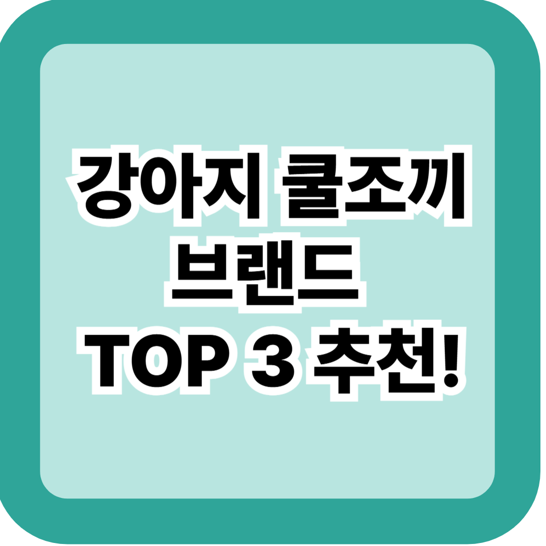 강아지 쿨조끼 브랜드 TOP 3 추천 – 파미야·디팡·펫트리움 실제 후기 총정리