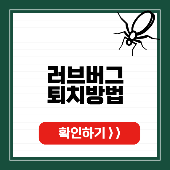 러브버그 퇴치방법 썸네일