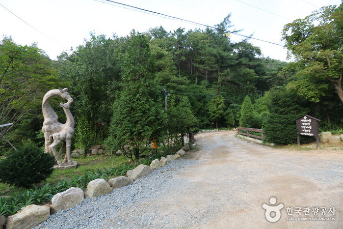 [강원도 여행지 추천] 횡성 가볼만한 곳 베스트 10 횡성자연휴양림