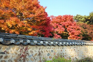 단풍과 함께 즐기는 사찰 여행지 추천 5선_화성 용주사