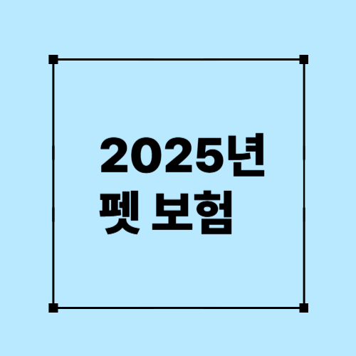 2025 펫 보험