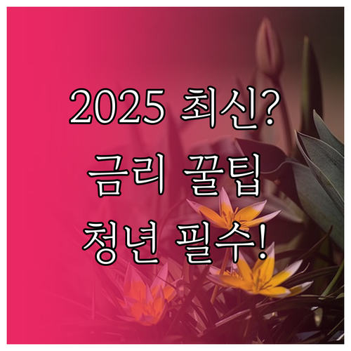 청년도약계좌 2025년 최신 금리 비..