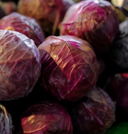 역류성식도염에 좋은 음식 영양제 식단