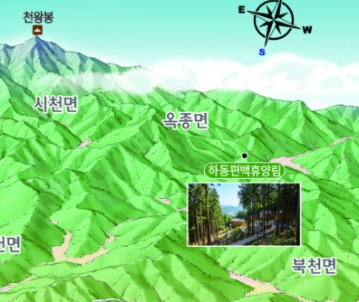 지리산 천왕봉의 위용과 피톤치드 가득한 하동편백휴양림 일러스트
