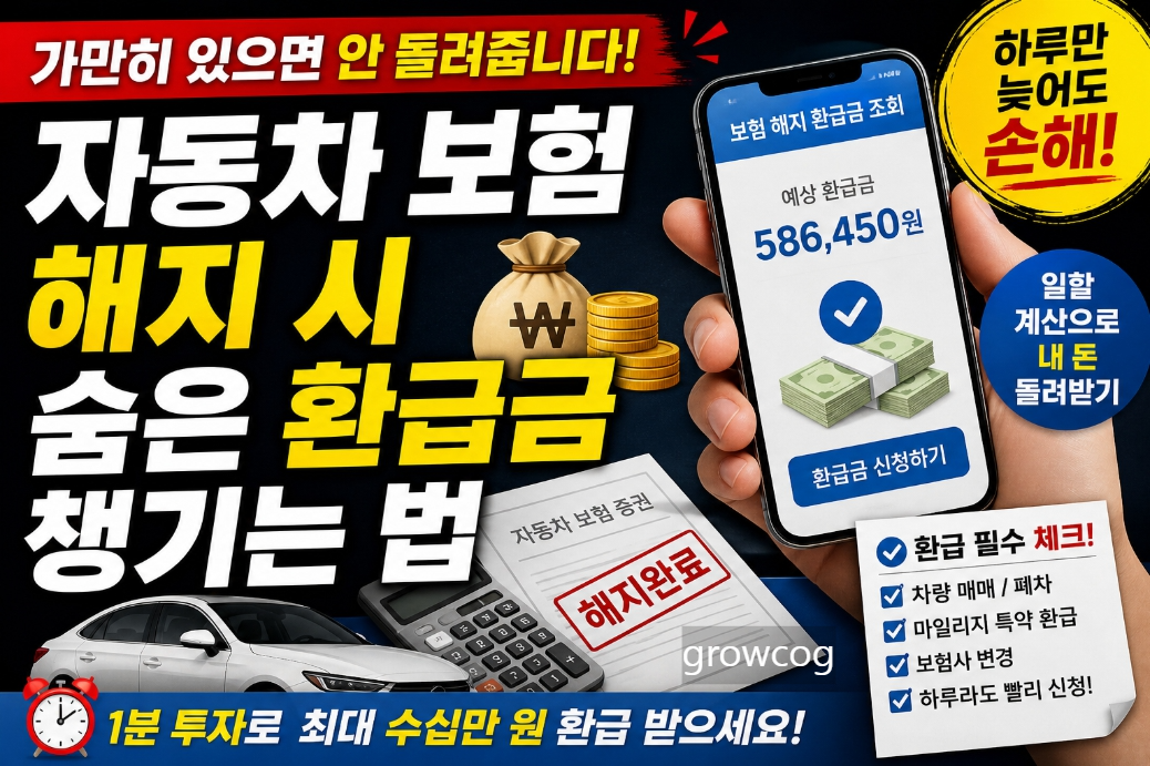 "가만히 있으면 안 돌려줍니다" 자동차 보험 해지 시 숨은 환급금 챙기는 법