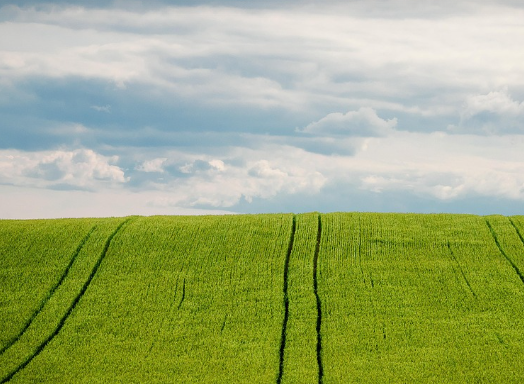 농작물 재해보험: 가입 조건부터 신청