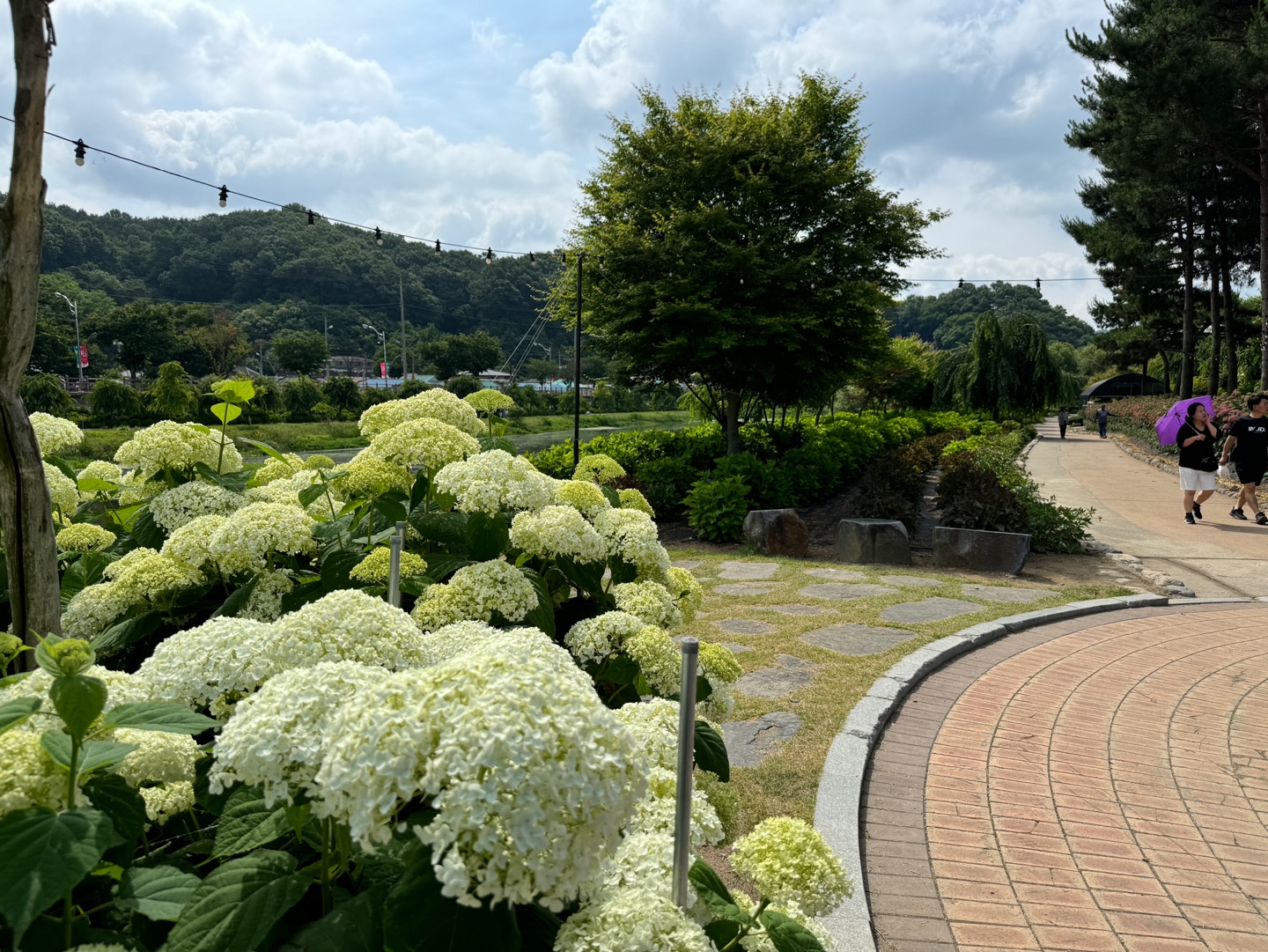 수국정원