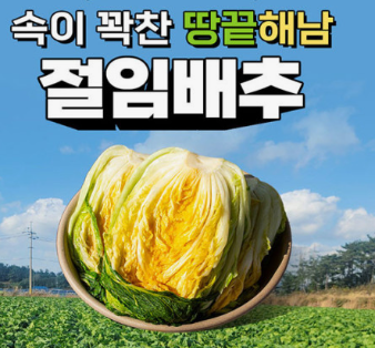 절임배추 예약 
