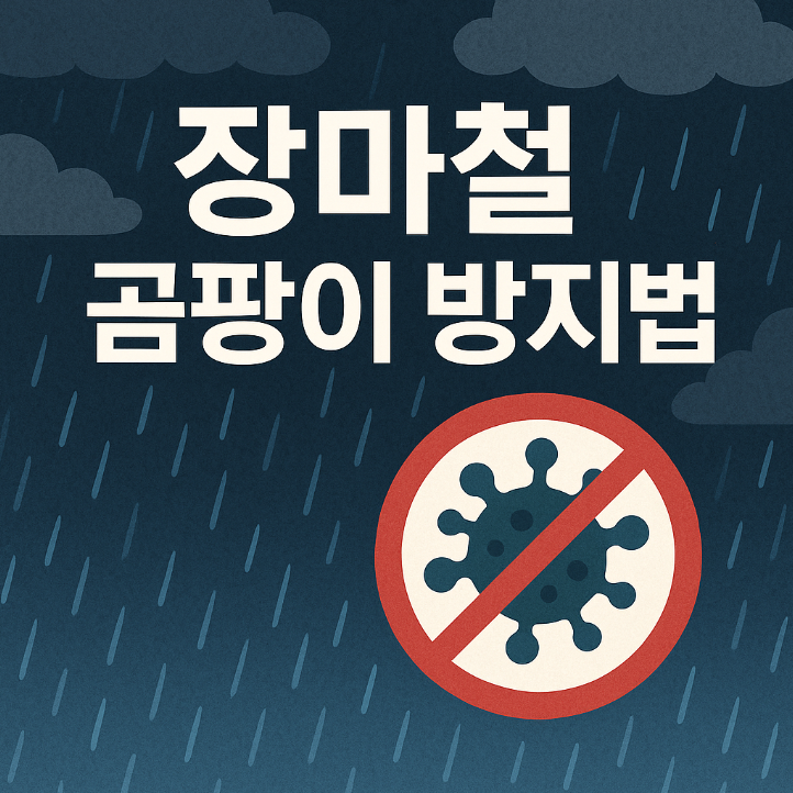 장마철 곰팡이 방지 꿀팁: 집안 청결을 지키는 법