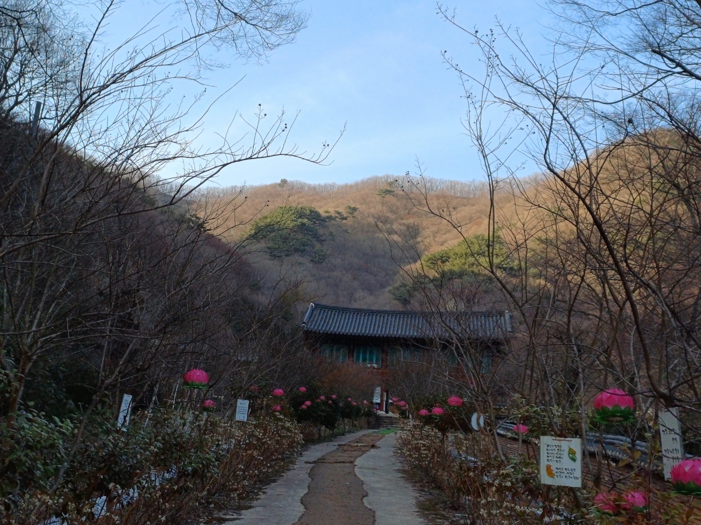 벚꽃명소 대원사