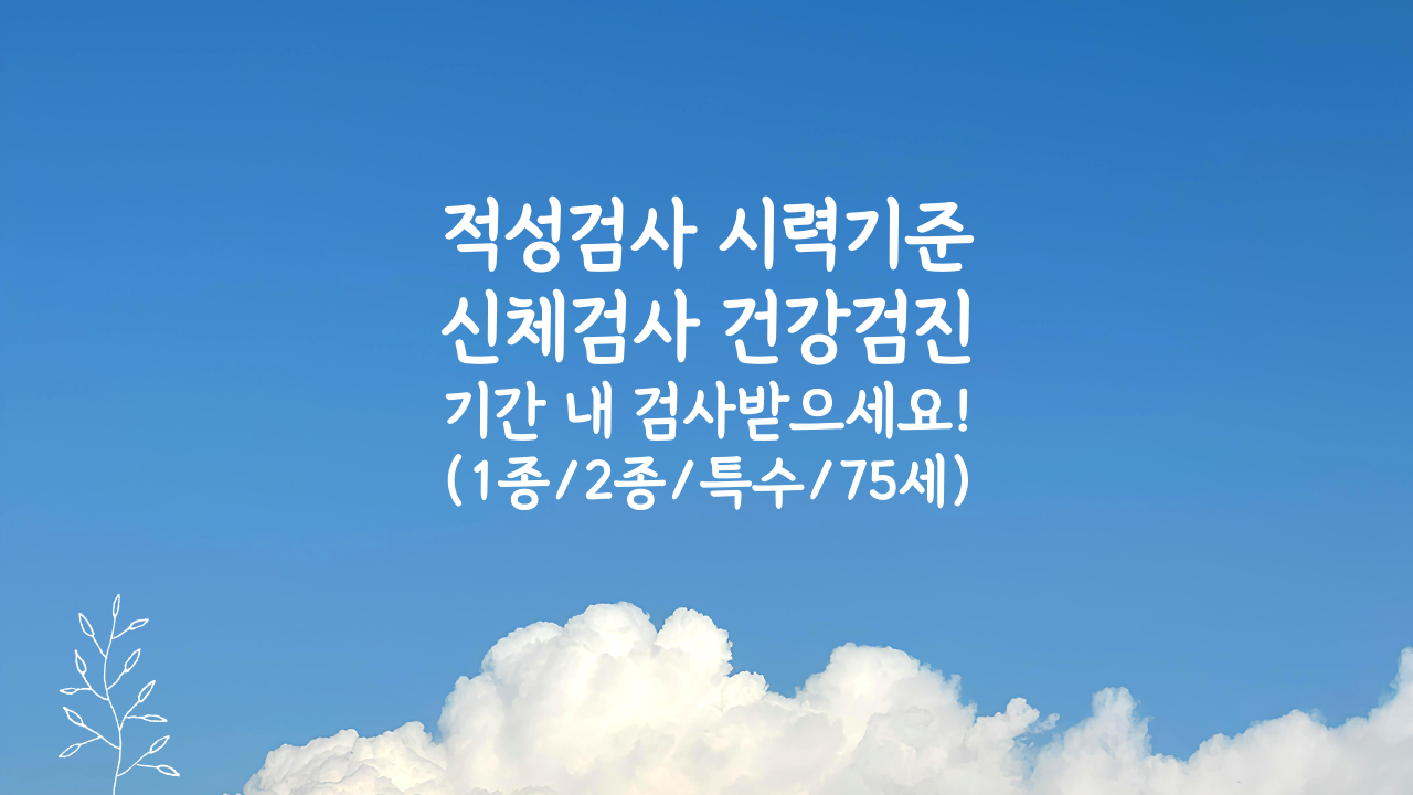 운전면허 적성검사 시력기준