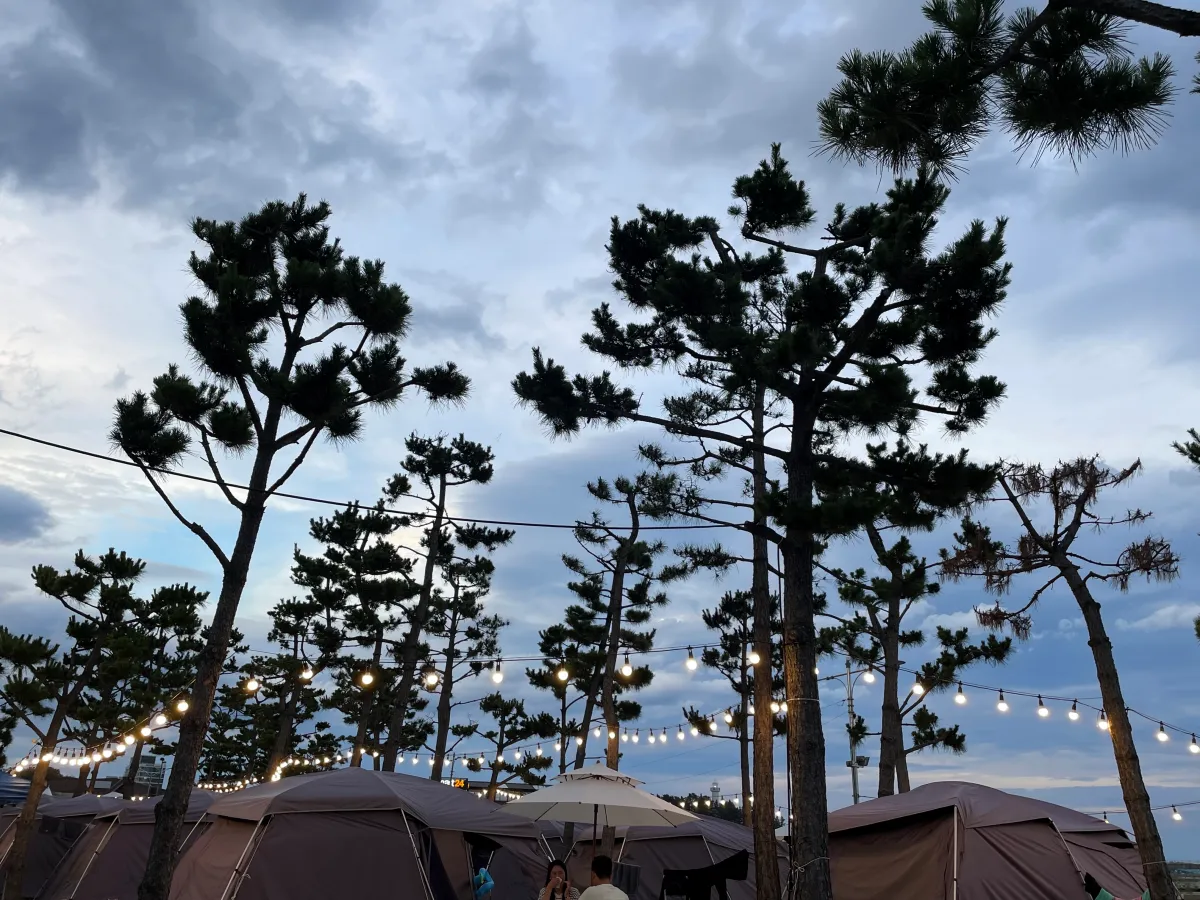 강원도-고성-물놀이하며-캠핑할-수-있는곳-｜봉수대야영장-원더캠프-캠핑장