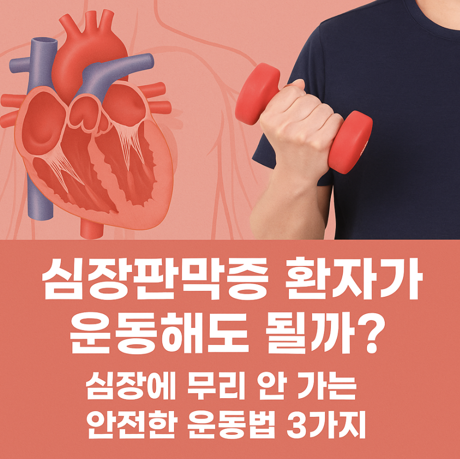 심장판막증 환자가 운동해도 될까? 심장에 무리 안 가는 안전한 운동법 3가지