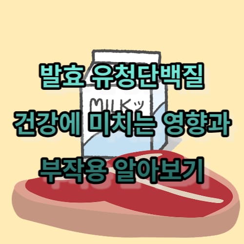 발효 유청단백질: 건강에 미치는 영향과 부작용 알아보기
