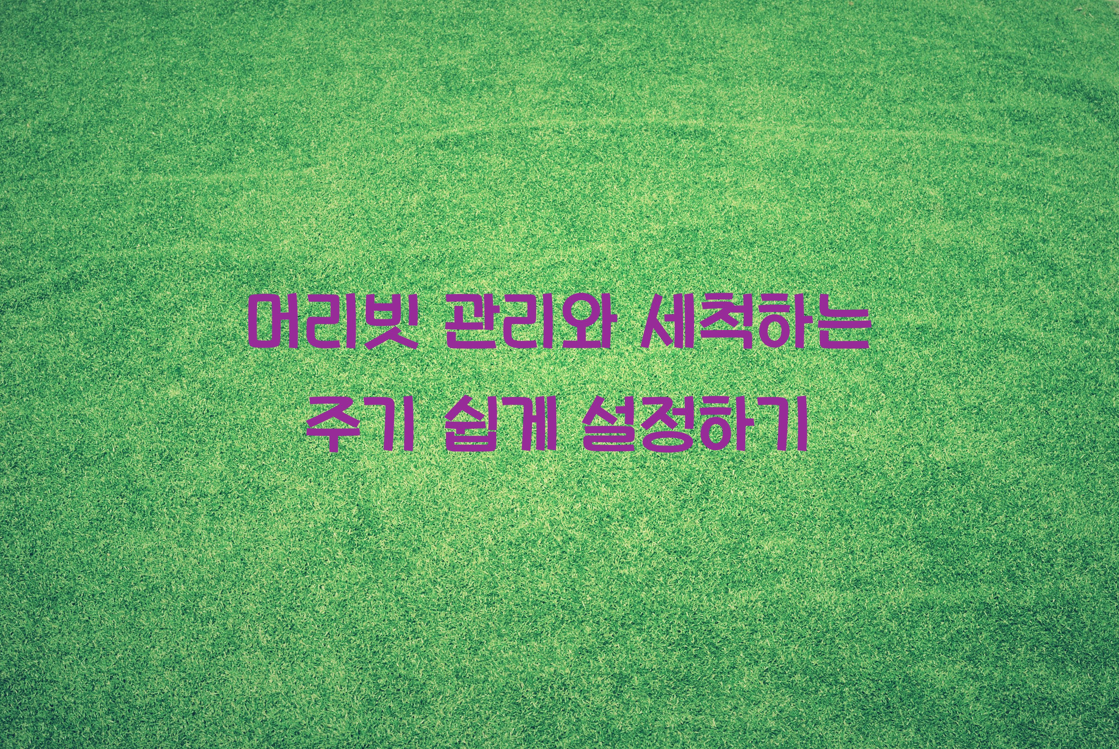 머리빗 관리와 세척하는 주기