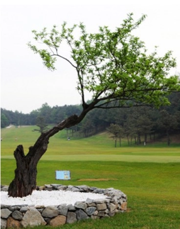 청주